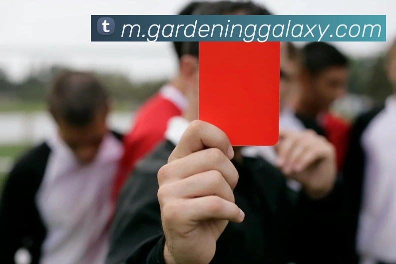 银河galaxy娱乐官网平台生态图