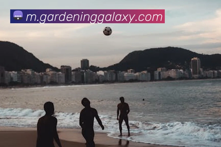 银河galaxy娱乐官网全站App